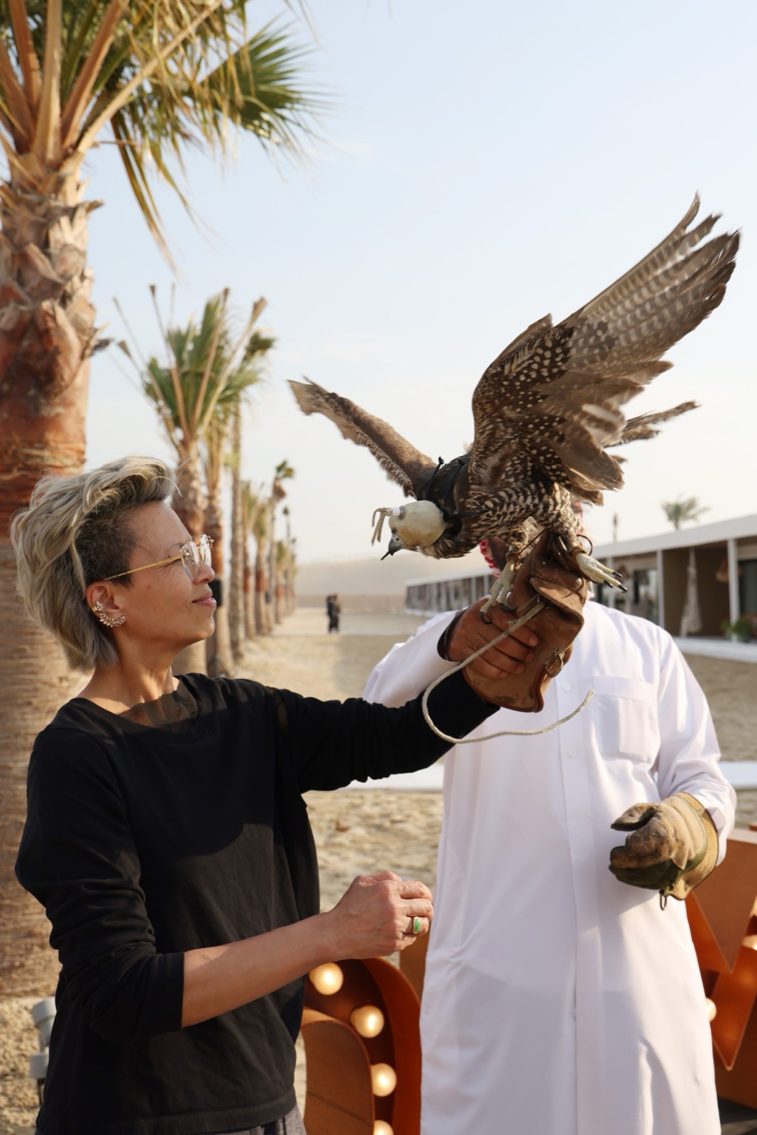 Angel Cheng holding out a gloved arm as a hooded falcon spreads its wings, at a desert event lined with palms